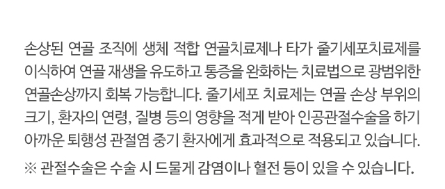 관절 연골 손상