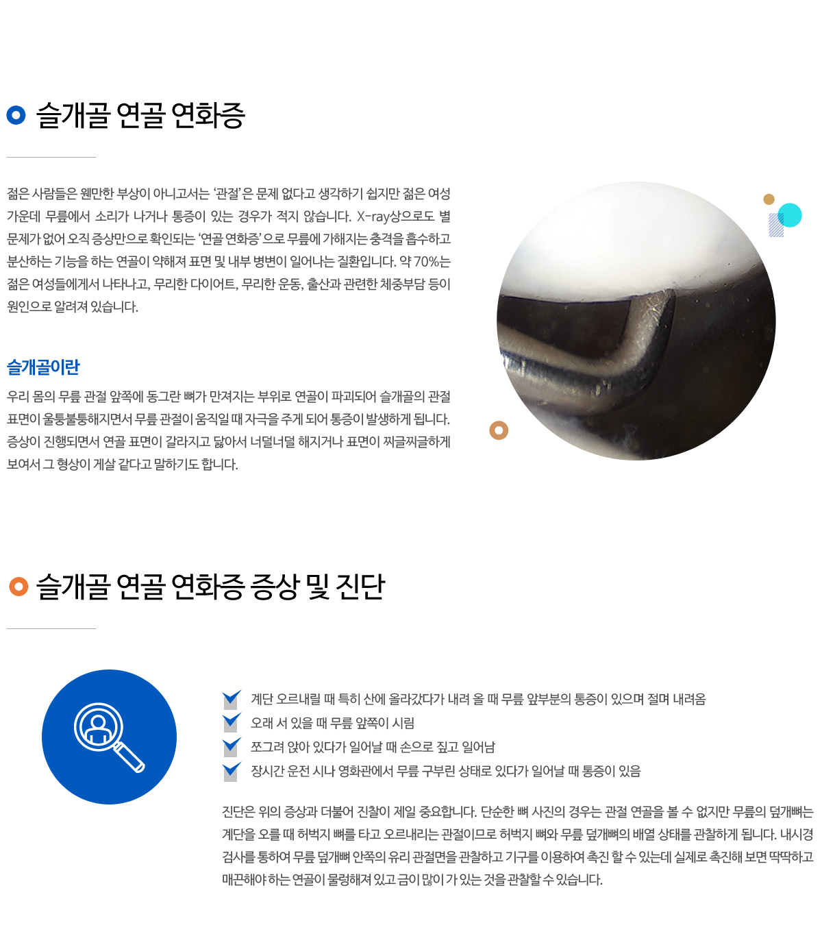 기타질환(슬개골 연골연화증, 점액낭염 )