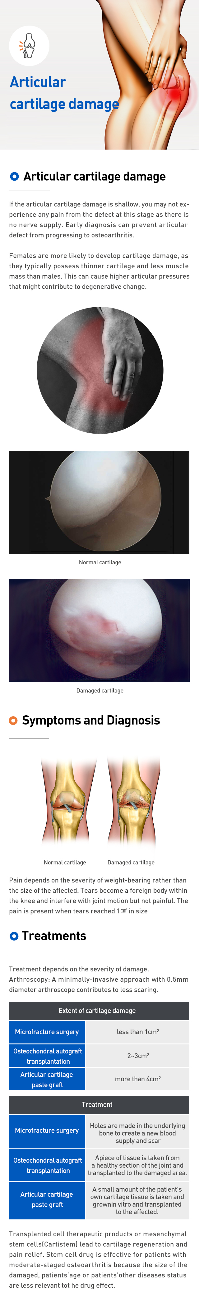 Articular cartilage damage